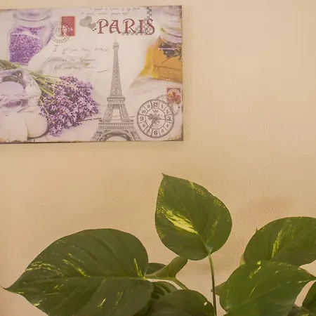 Apartmán Camellia