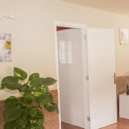 Apartmán Camellia *